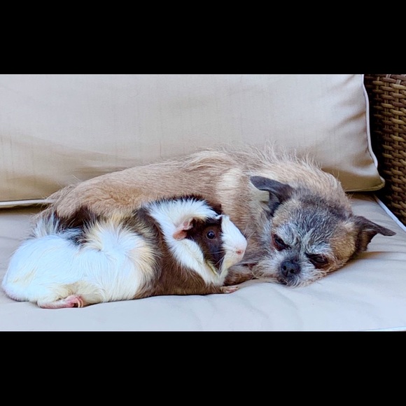 Price is too high?  Give “make an offer a try!” 🌻 - Picture 2 of 13